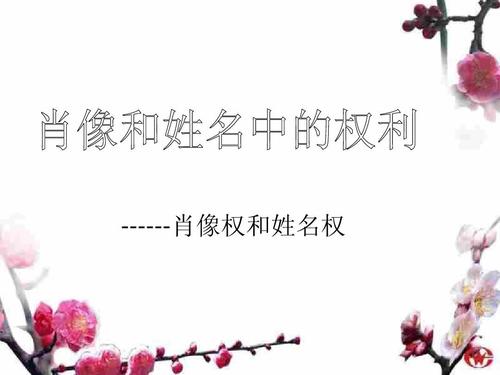 名人姓名權和商標權有哪些沖突？