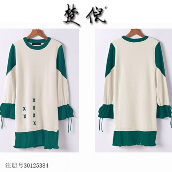 25類(lèi)楚倪