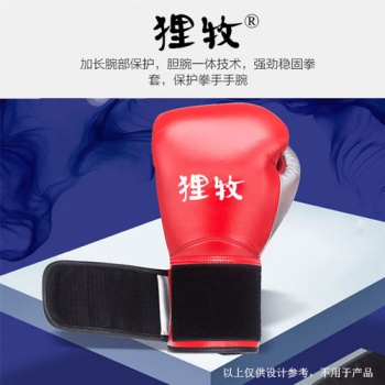 28類(lèi)貍牧
